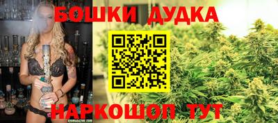 apvp Кингисепп