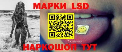 apvp Кингисепп