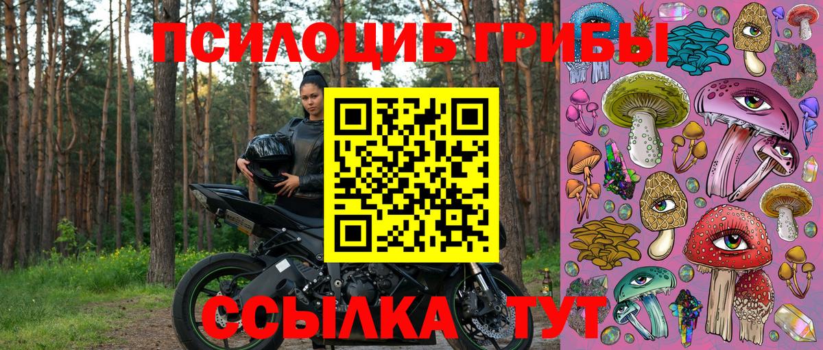 Псилоцибиновые грибы мухоморы  Галлюциногенные грибы мухоморы  Куйбышев  Вход с VPN 